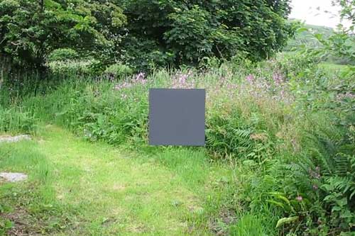 contemporary moving image art in the environment