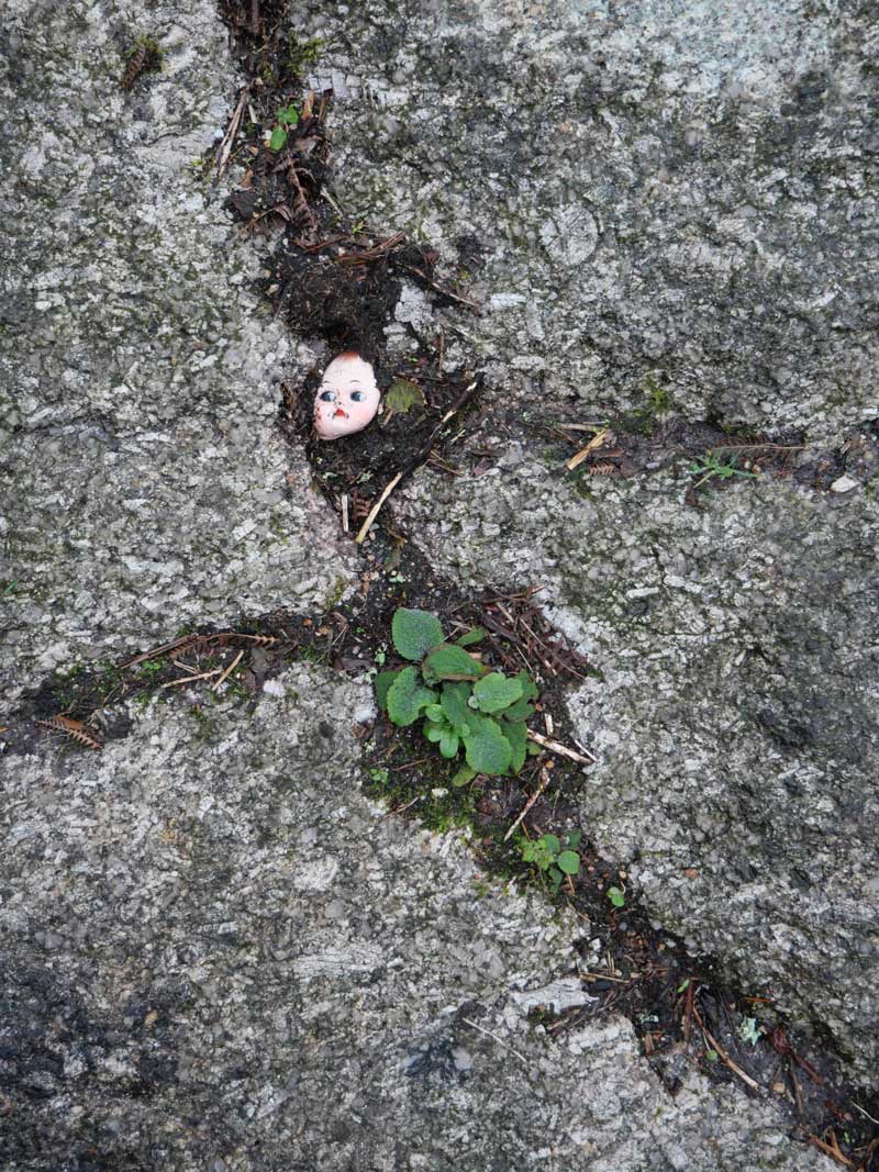 Found object art - doll's head